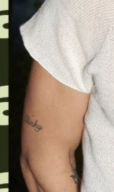 bestharrysbr's tweet image. 🚨NOVA TATUAGEM! 

“Slinky”