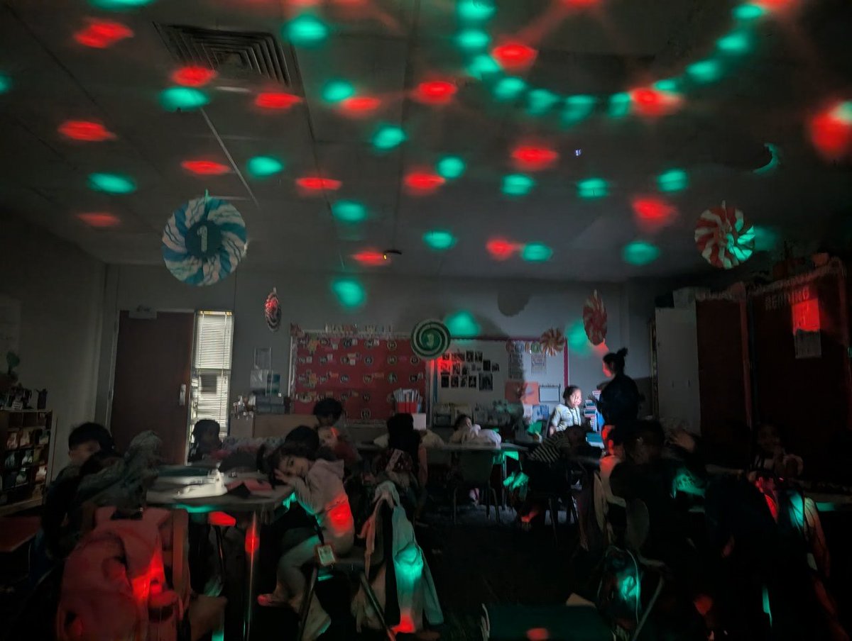 LaToya Booker, M.Ed. 💕 📝🐾 tweet media