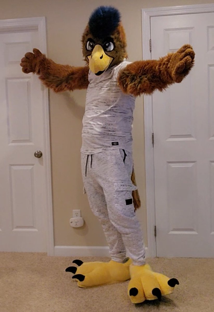 That freakin bird that I hate tweet media