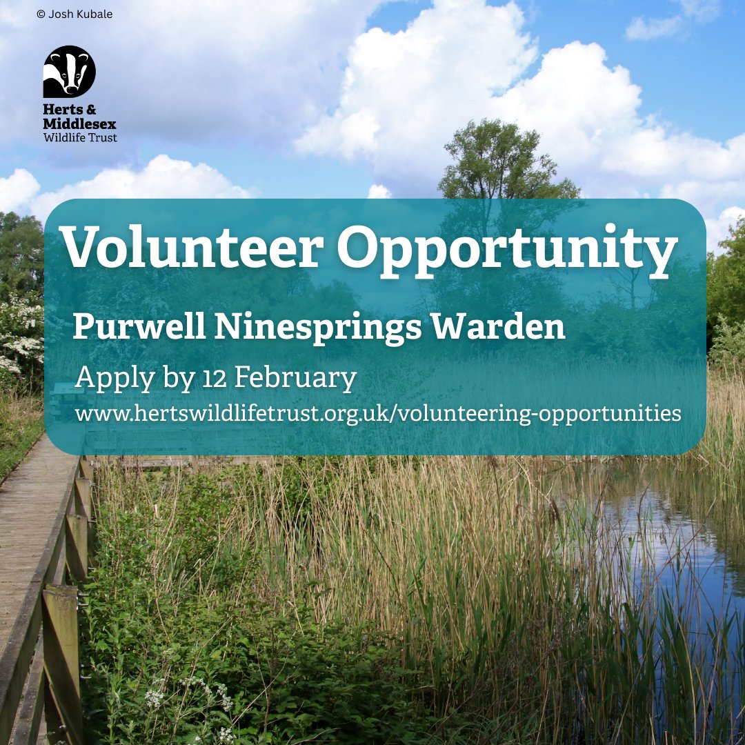 HMWTBadger's tweet photo. We’re looking for a Volunteer Warden to support Purwell Ninesprings in Hitchin!

If you’re enthusiastic about wildlife &amp; enjoy working with people, this flexible role could be a great fit. 

📅 Apply: https://t.co/hV6FP6NiLA https://t.co/eFEODzeoYS