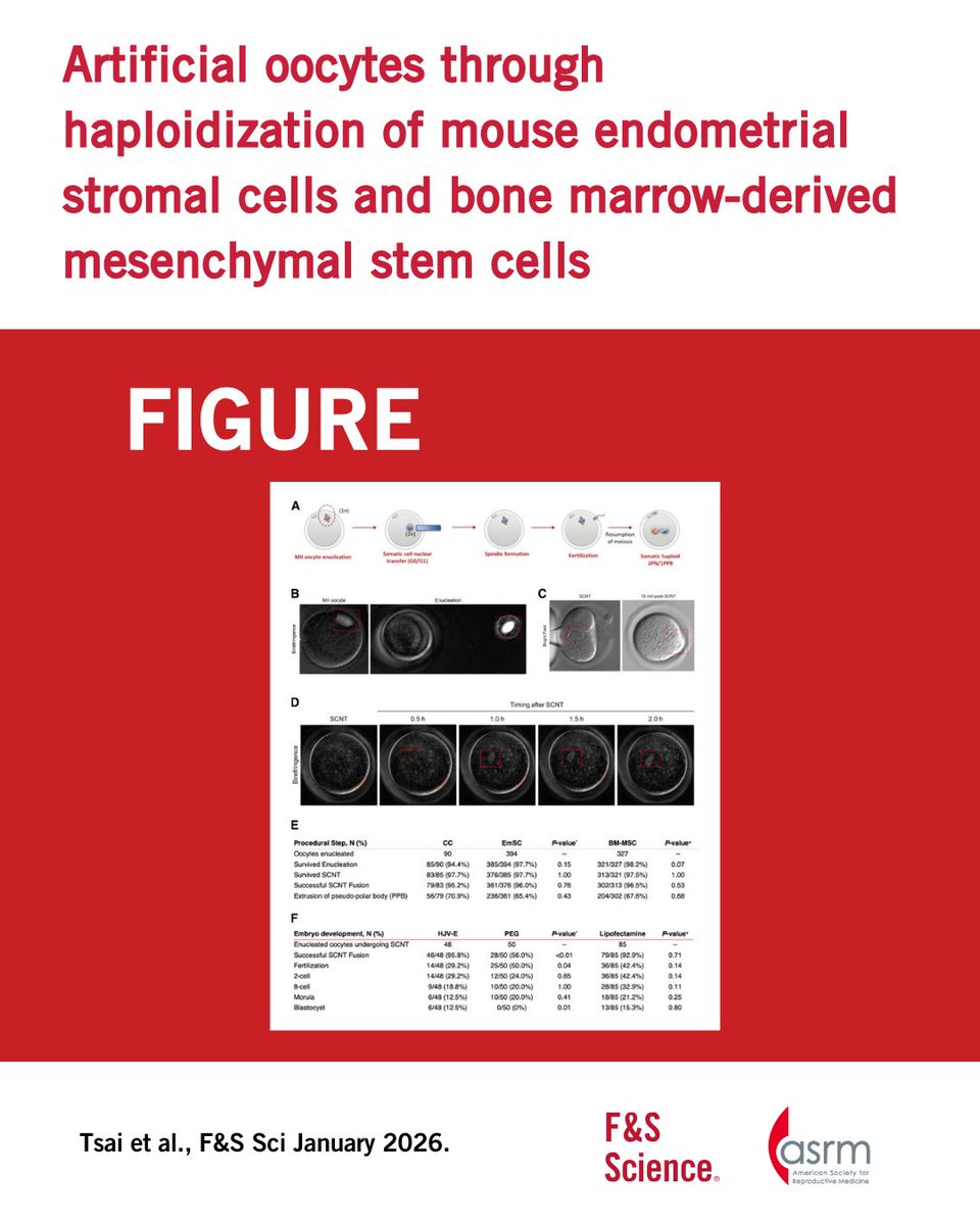 Fertility Sterility tweet media