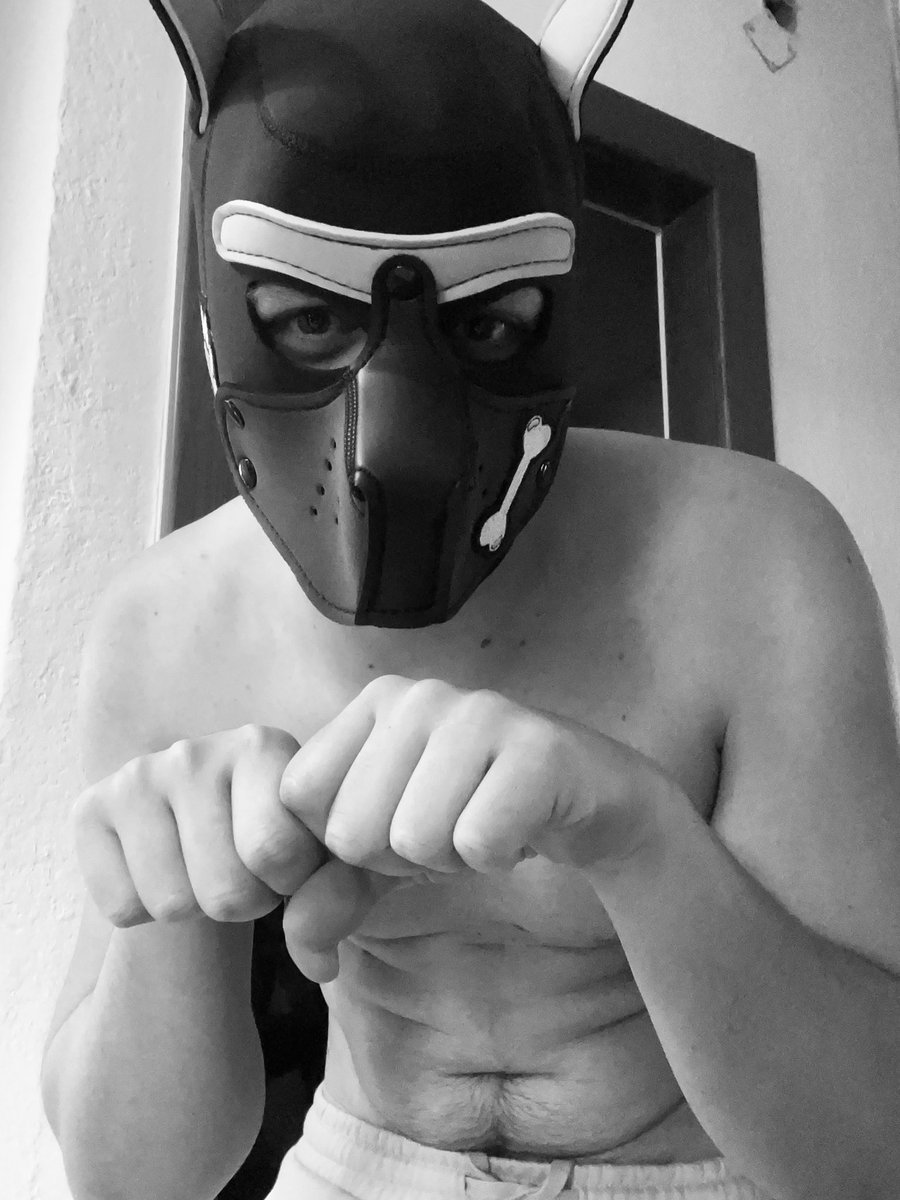 Pup_Limbo tweet media
