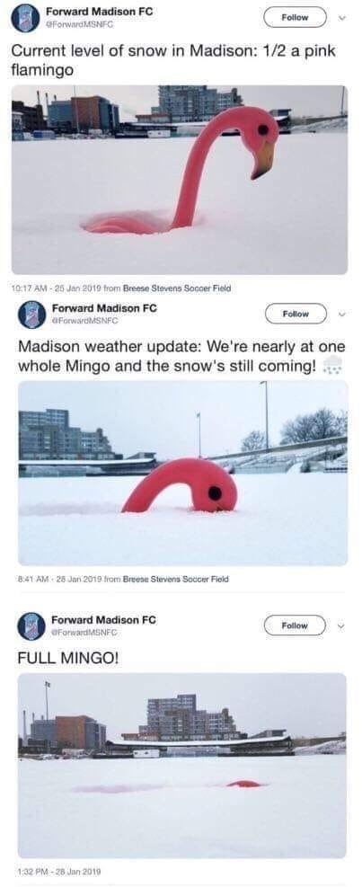 Buck Bewley tweet media