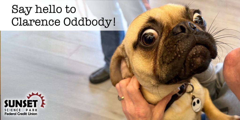 Sunset Credit Union tweet media