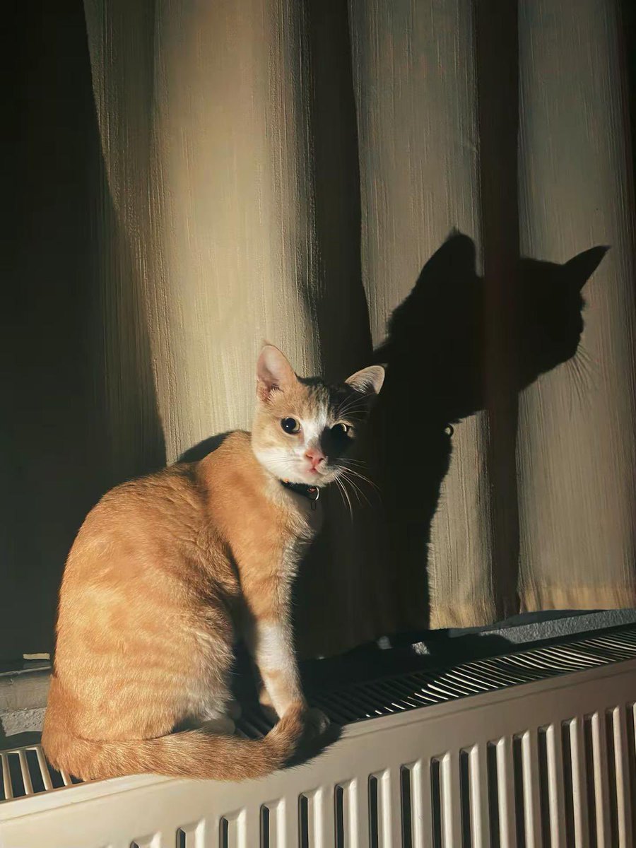 dünyamm 🌎💗💖🩷🪬