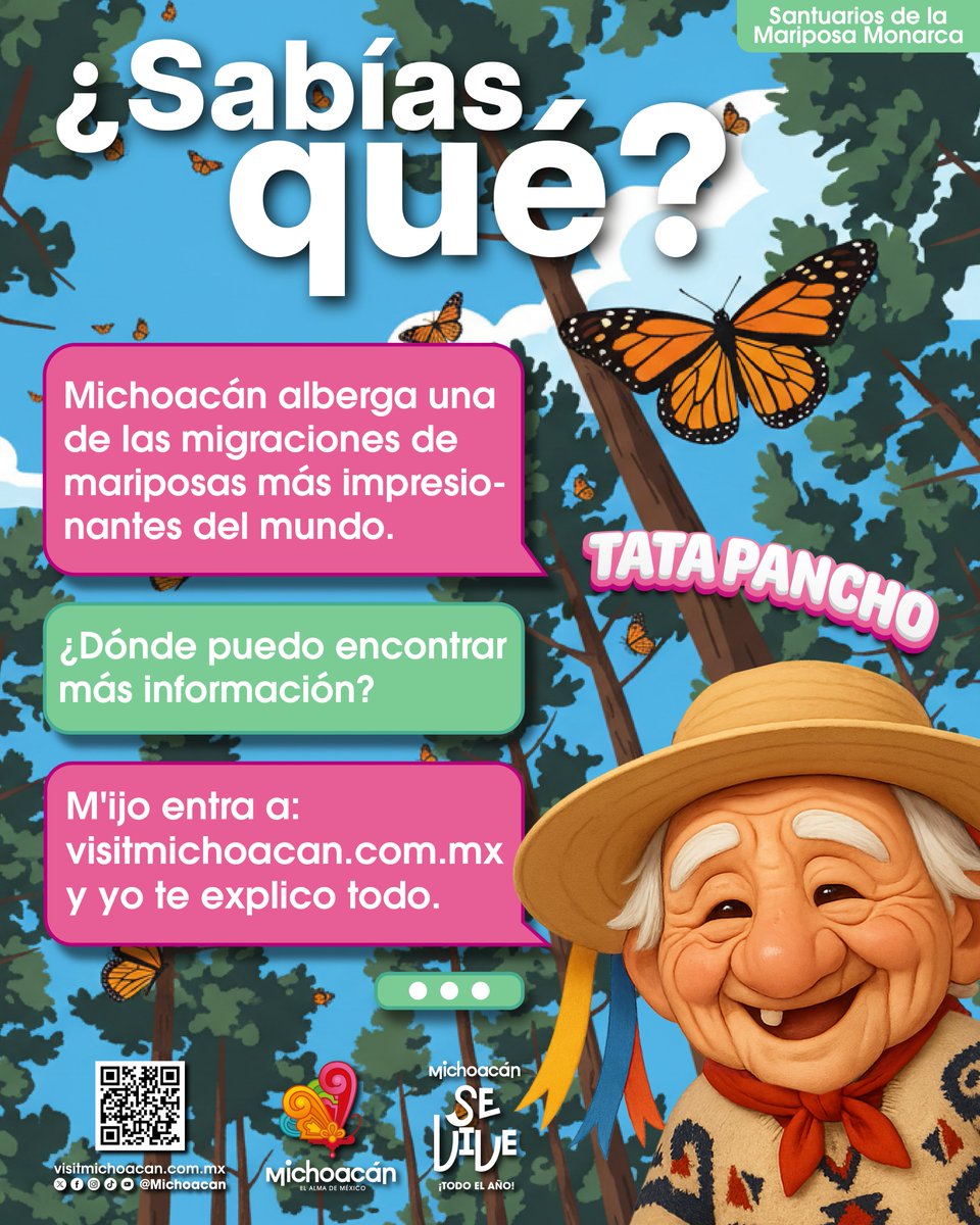 🦋 Michoacán resguarda una de las migraciones más impresionantes del planeta.
Los Santuarios de la Mariposa Monarca son un orgullo ambiental y un espectáculo natural único en el mundo.
Más info 👉 visitmichoacan.com.mx

#MariposaMonarca
#Michoacán
#TurismoDeNaturaleza