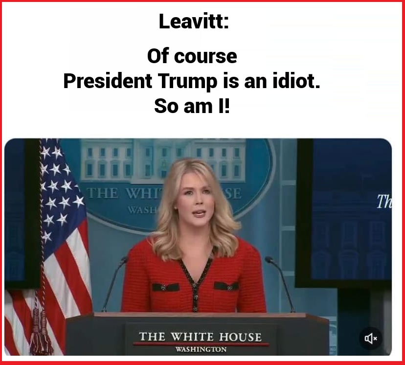 GumbyFella's tweet image. 