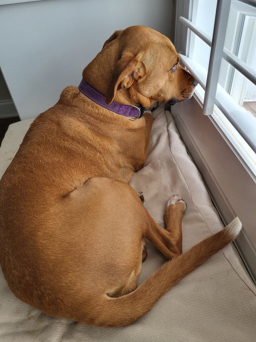 Glasswalker - YOM CXO tweet media