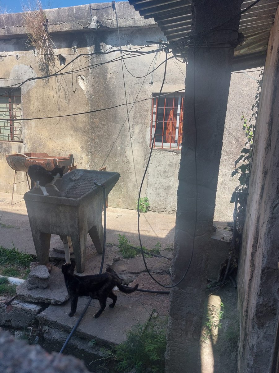 ♡Hiime♡ tweet media