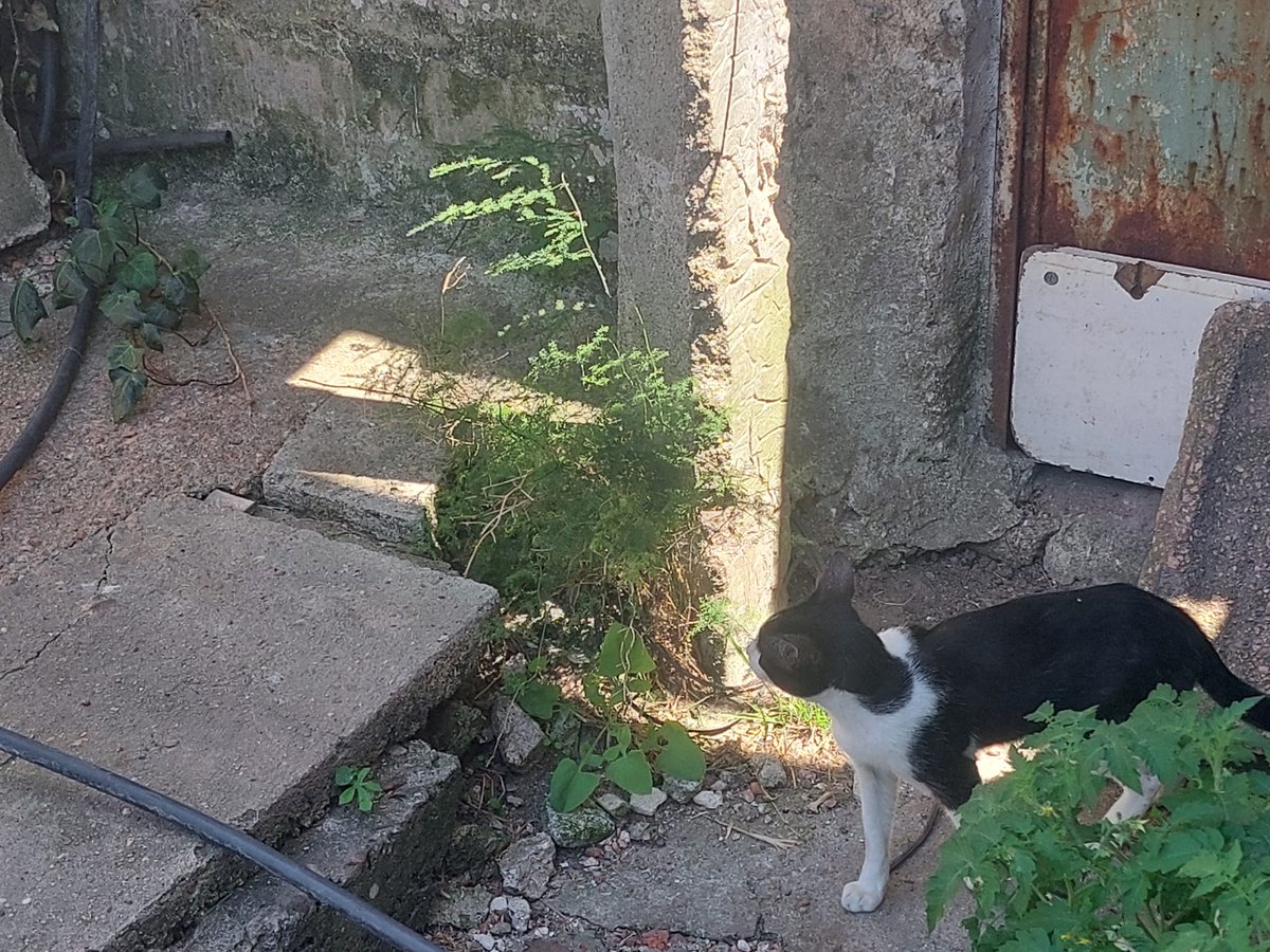 ♡Hiime♡ tweet media