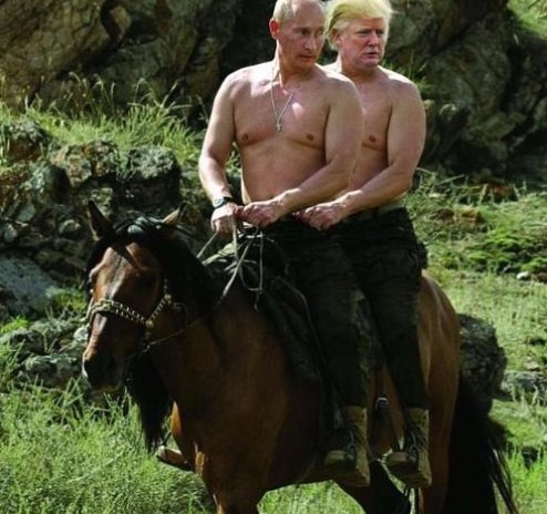 <a href="/FrenchResponse/">French Response</a>