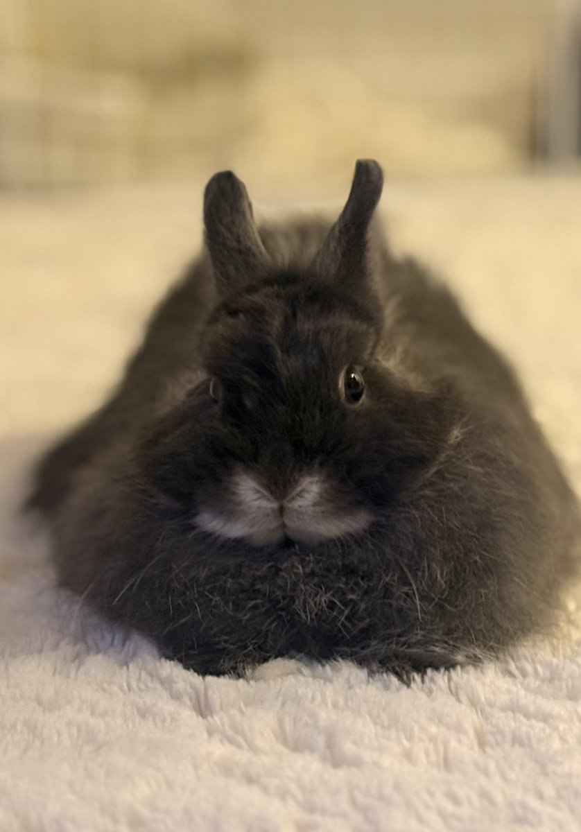 defhx's tweet image. 🍠🍠