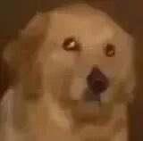 感觉你是那种会在各种社交平台发脚照和袜子照的人，感觉你是那种拍脚的时候会特意把脚趾头翘起来的那种人，感觉你是那种拍生活照会超绝不经意把脚拍进来的人