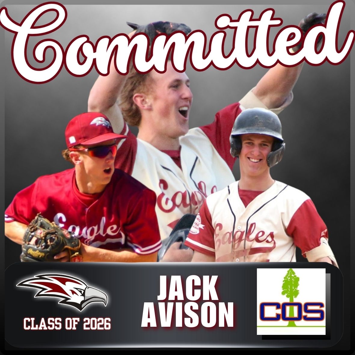 Victoria Eagles Baseball Club tweet media