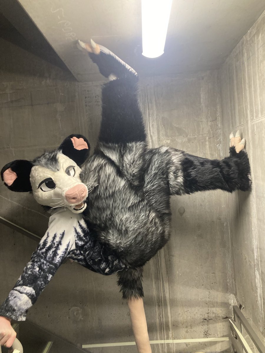 Opos📹➡️FD tweet media