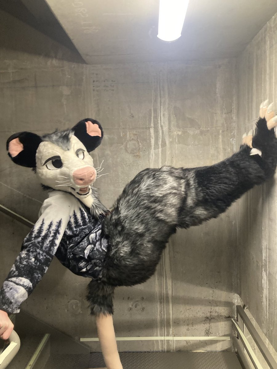 Opos📹➡️FD tweet media