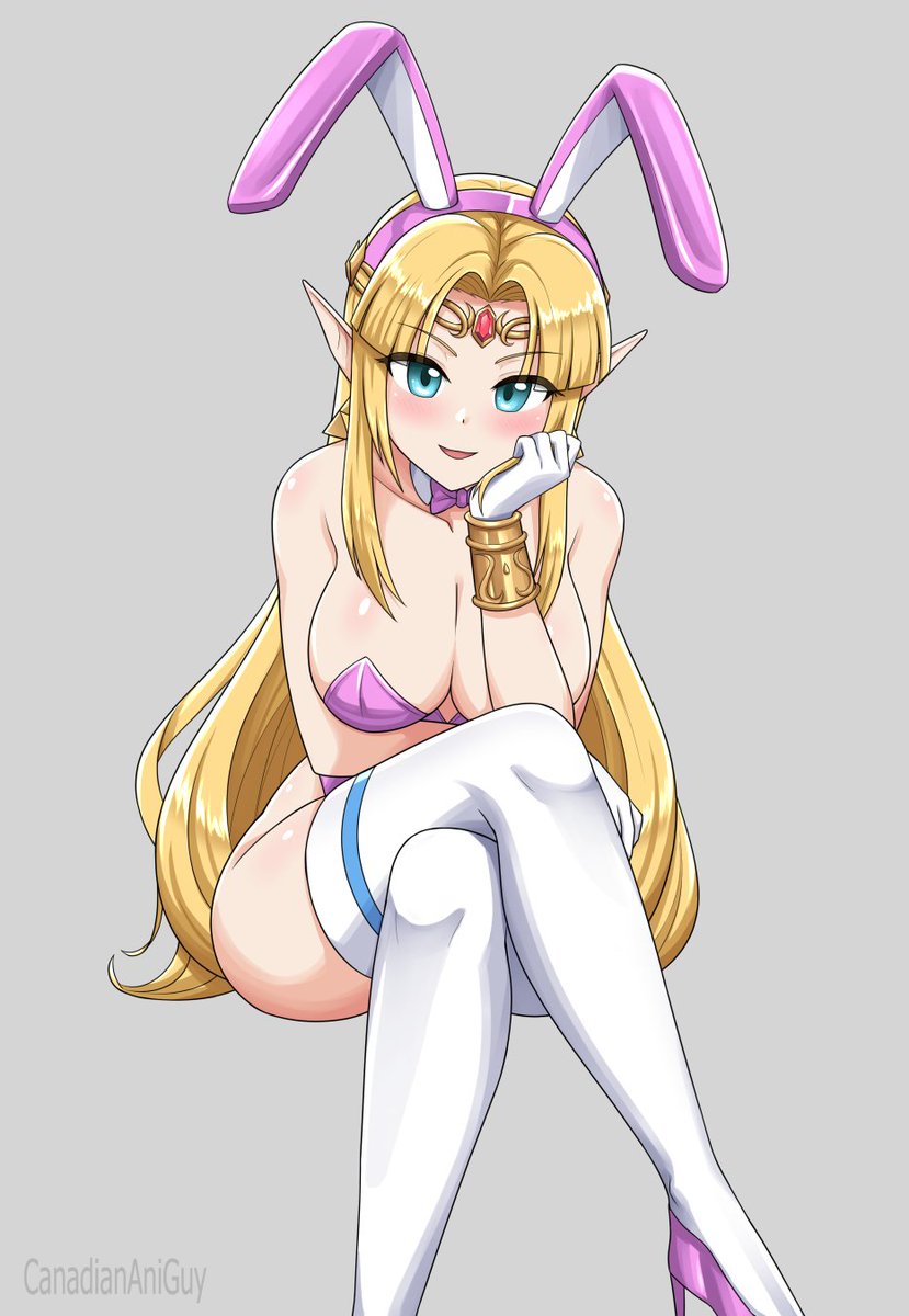 CanadianAniGuy's tweet photo. Bunny Suit Zelda 💜 https://t.co/gDxVh5lFuK
