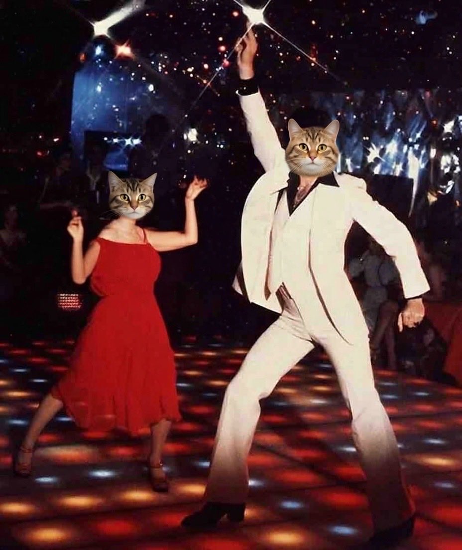 "Caturday Night Fever" Video Receives More Views Than All Ten Oscar Nominees For Best Picture Combined