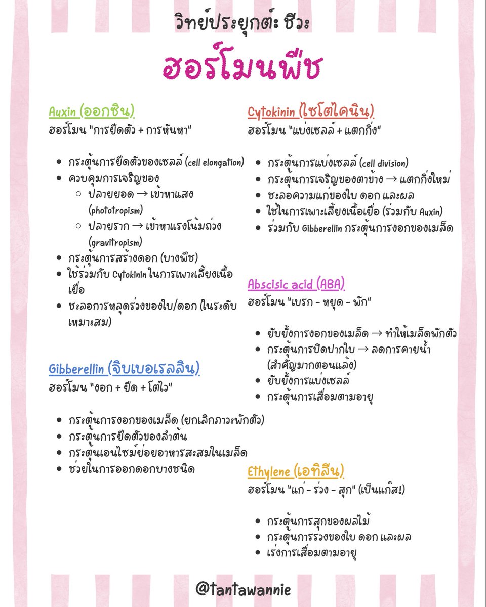 tantawannie99's tweet photo. สรุปฮอร์โมนพืช วิทย์ประยุกต์
แล้วก็ข้อสอบจริง ลองปิดเฉลยก่อนน้า

ปล.เร็ว ๆ นี้ จะมีสรุปครบทุกพาร์ตแล้ววว รอติดตามได้เลย 
#alevel69 #Alevel #สอบเข้า #วิทย์ประยุกต์ #dek68 #dek69 #เด็กซิ่ว #ชีทสรุป https://t.co/0jXtUqgUG5