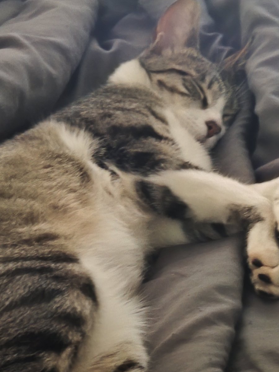 VanessaIG tweet media