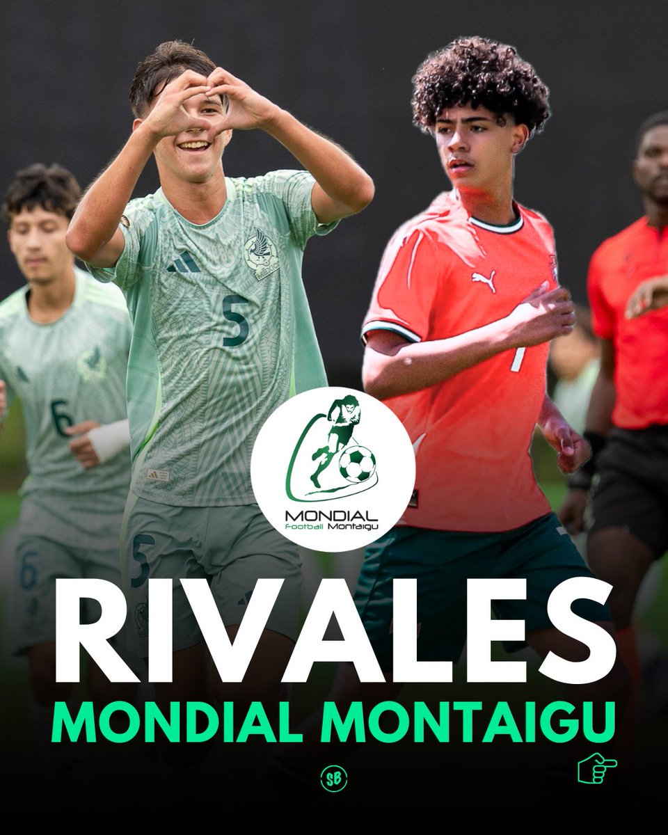 Sector Básicas tweet media