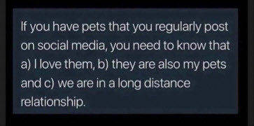 <a href="/feederofcats/">Friends of Bear Cat Rescue</a>