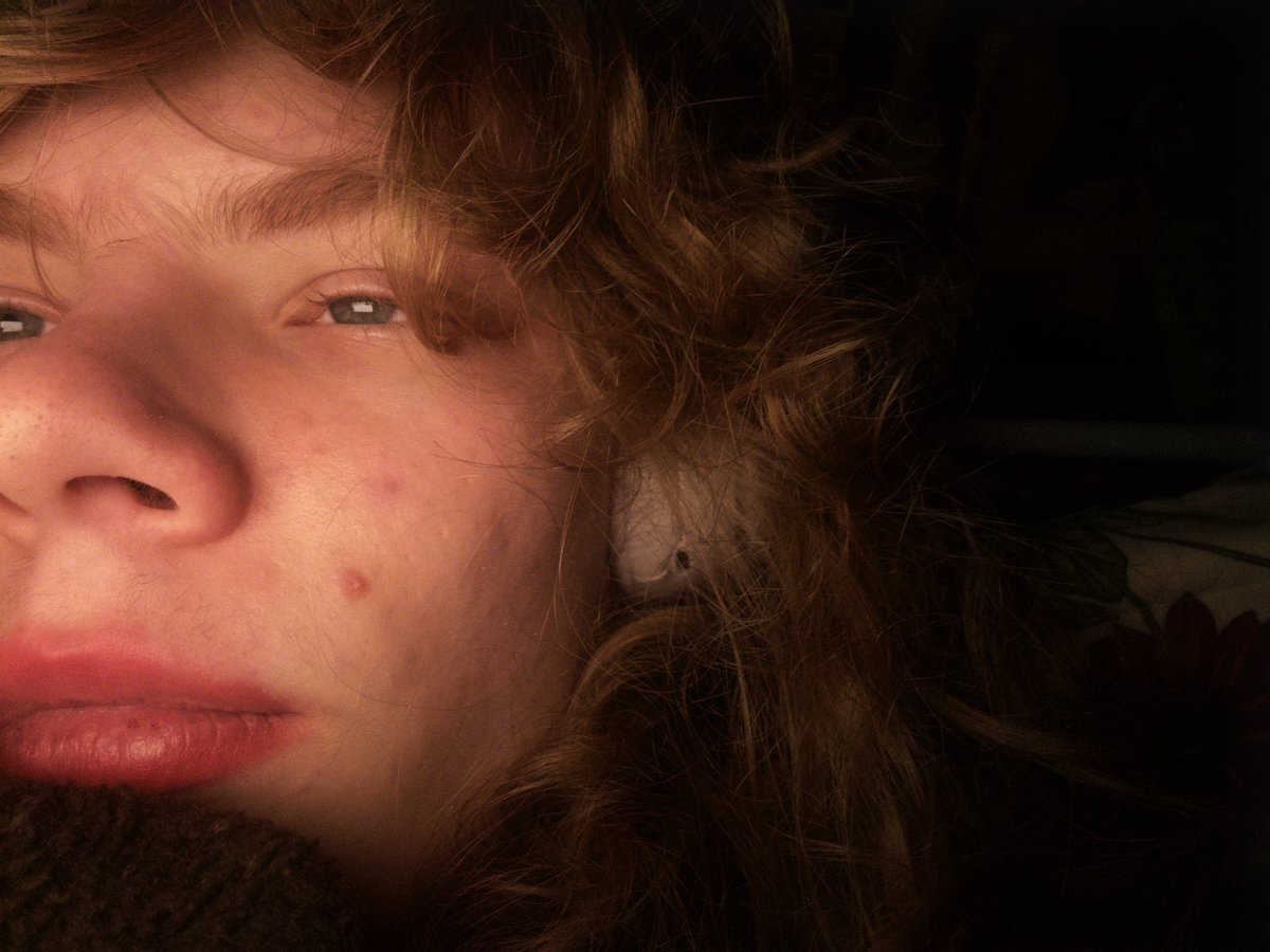 thisiscarton's tweet image. dang