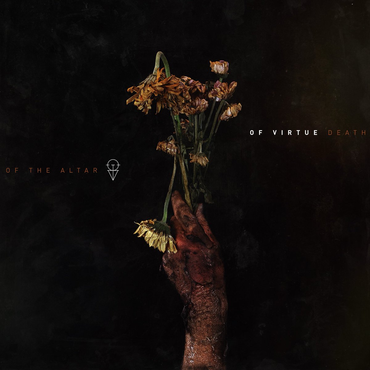 OF VIRTUE tweet media