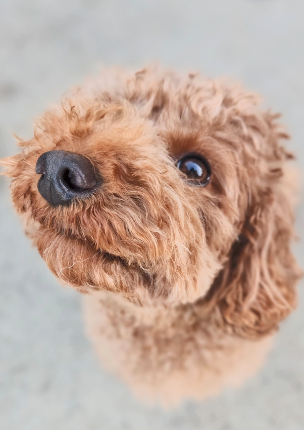 Javi 🍉🌸 tweet media