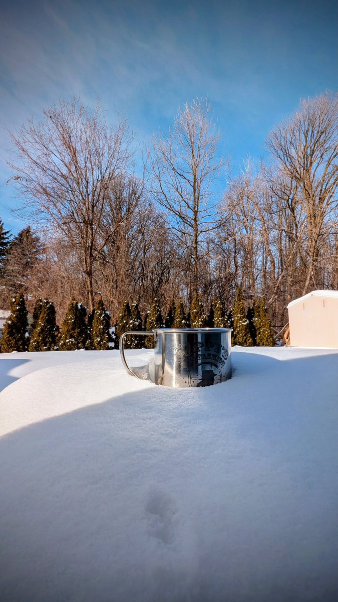 Collin Chan tweet media