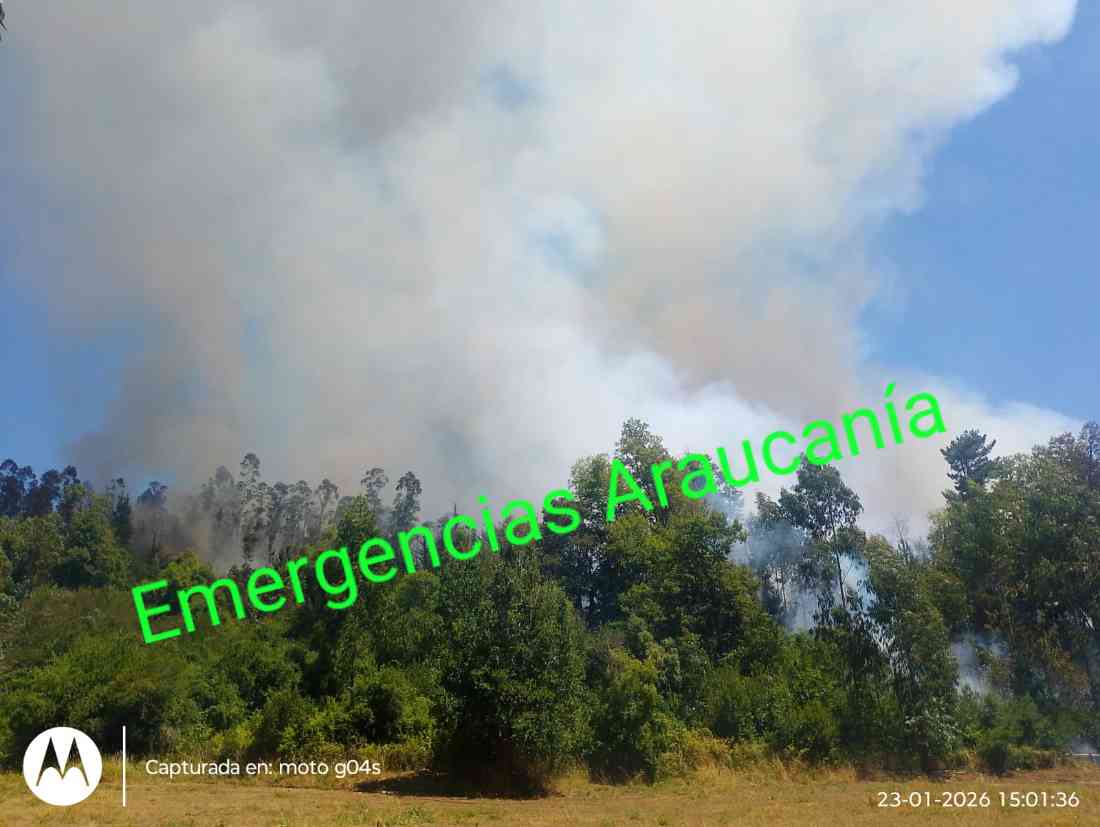 VasquezHerargem's tweet photo. Cuerpo de Bomberos de #Vilcun 🚒BR-1, 🚒BF-2, 🚒Z-2 trabajando en Primera Alarma de #Incendio_Forestal, Sector Vega Redonda https://t.co/5JFMpczkmN