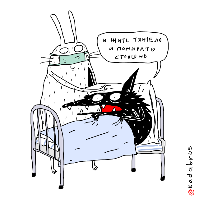 Типичные 𝕏 (@kadabrus) on Twitter photo 