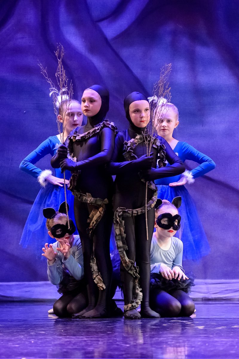 Springfield Ballet tweet media