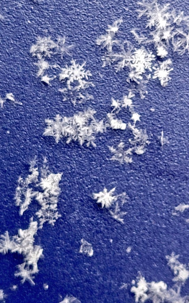 TamiK_Colorado's tweet image. Beautiful day to you all from Colorful Colorado with love ❤️ 
#beautiful #snowflakes in below #freezing #temperatures in #Colorful #Colorado #NaturePhotography ❄️☃️💫