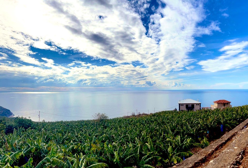 Hayat ne haber verir 
Ne de izin ister:  
Sana iteler, 
Senden hesap sorar 
Ve eğer bir şey öğrenirsen, 
bu ısrarından dolayıdır, Adaletten değil.

Gece🌝