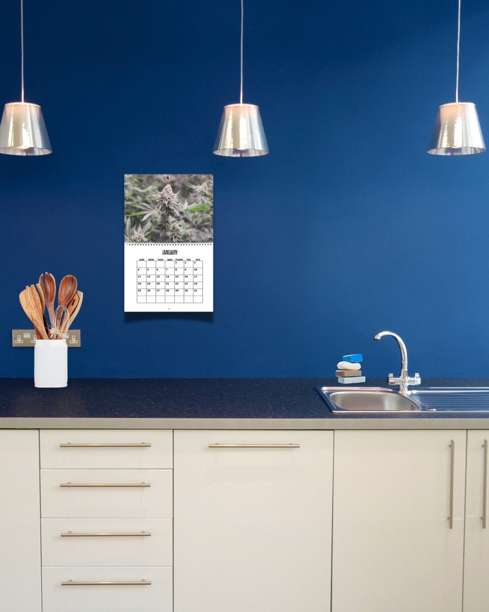 Remo Brands Inc tweet media