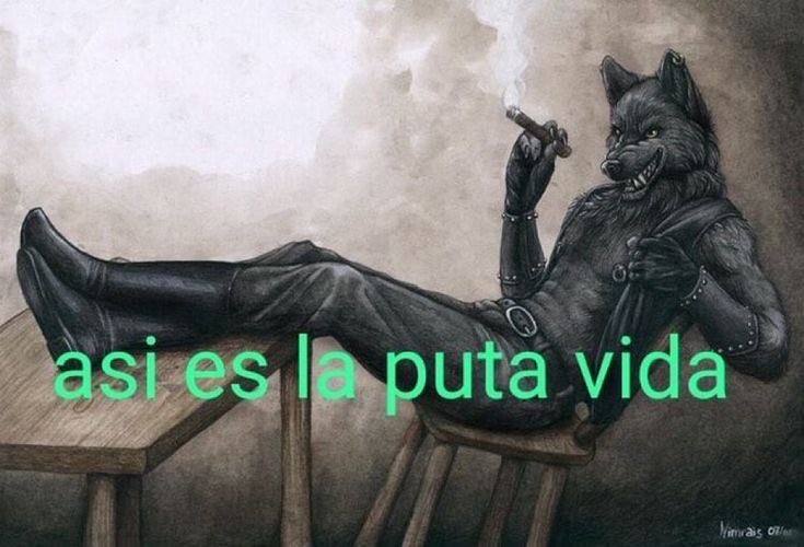 oa_alexa's tweet photo. Prefiero ver el concierto en un TikTok live borroso que comprarle a los revendedores, primero como mierda de animal muerto  #BTS_WORLDTOUR_MEXICOCITY https://t.co/aTc1HMAkdu