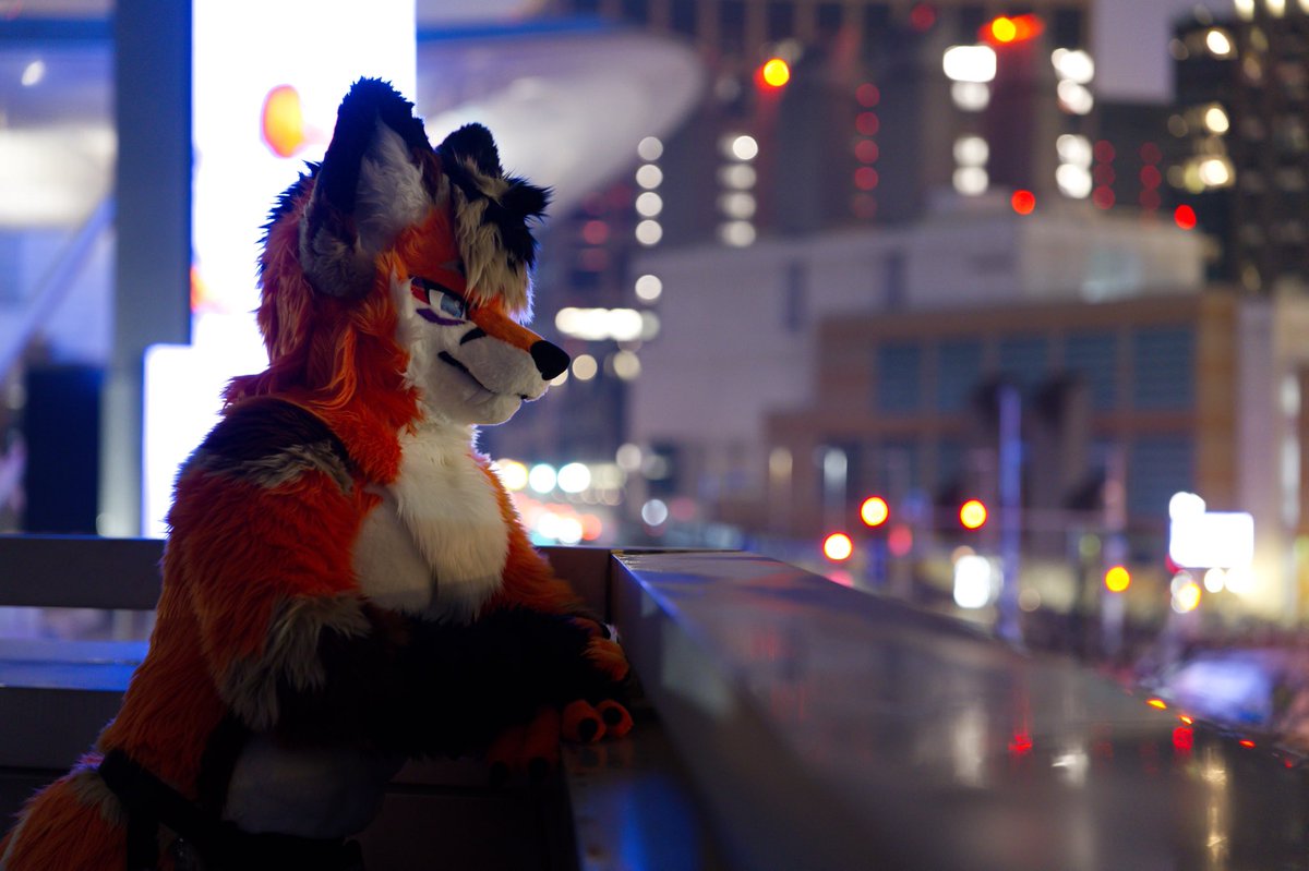 Blaze 🔜 LVFC, FWA tweet media