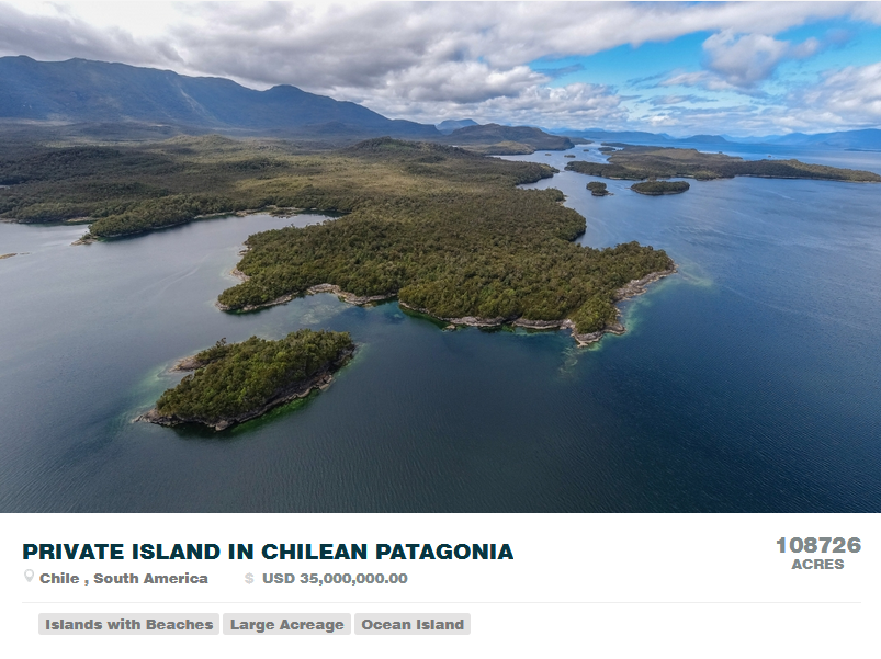 Awen 🟨⬜️🟪⬛️ tweet media