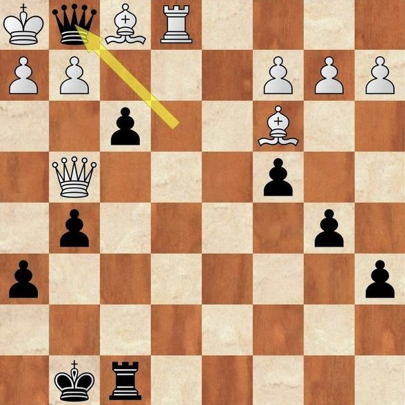 Chess Feed tweet media