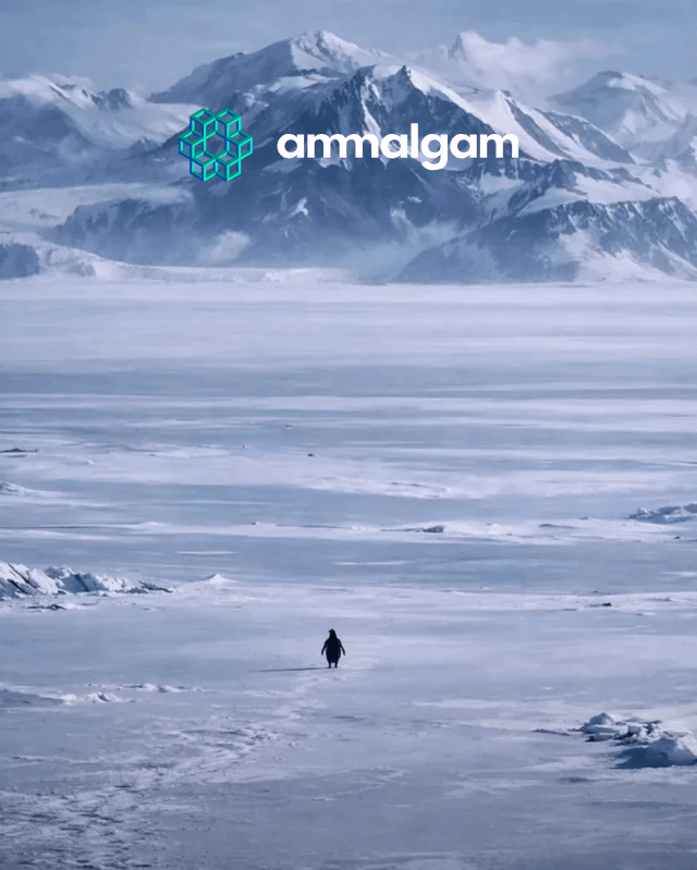 Ammalgam (δ, γ) tweet media