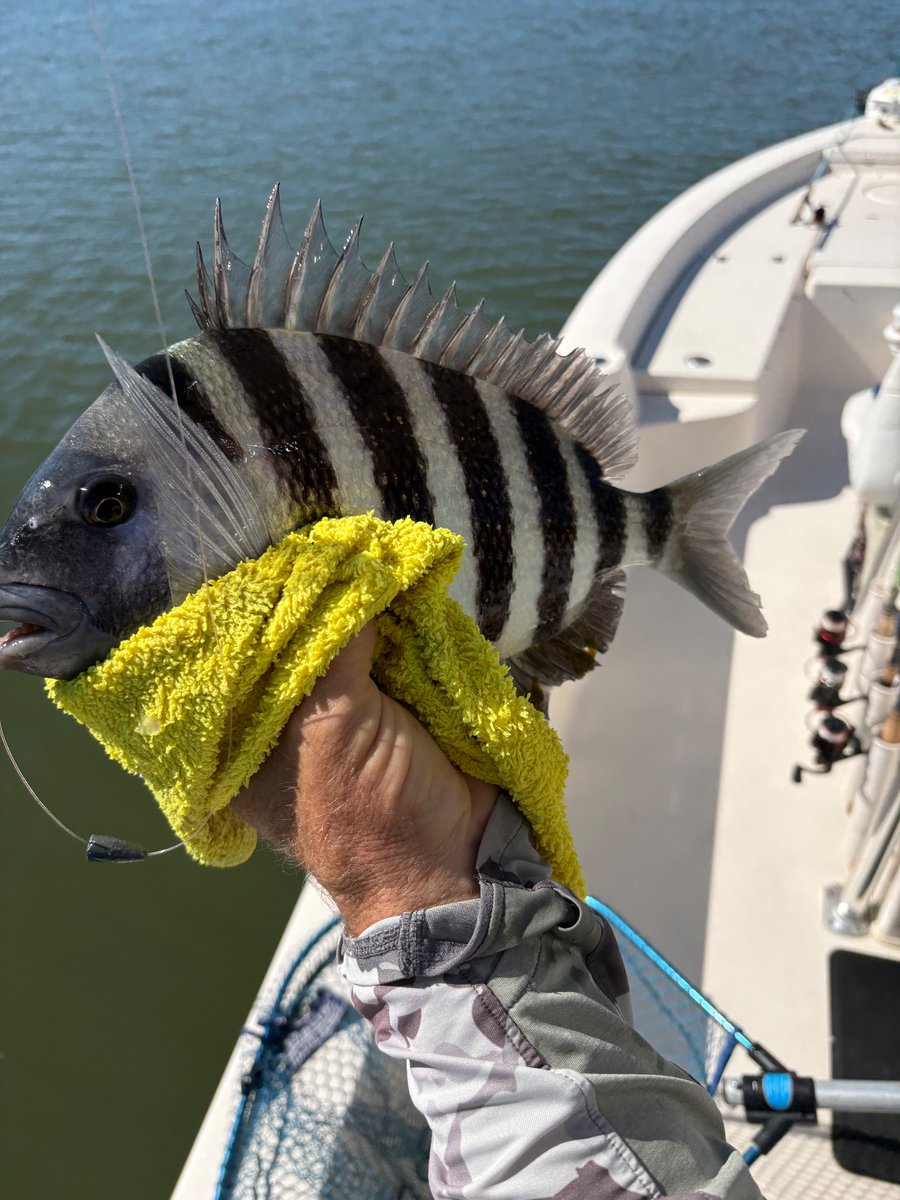 Howard Lindzon tweet media