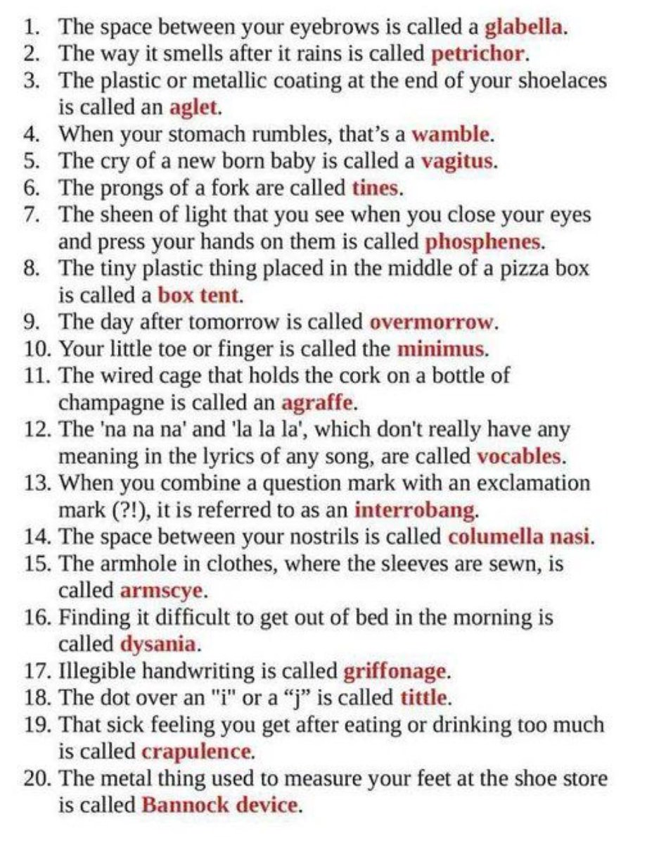 todayyearsold's tweet image. The names of things you probably didn’t know