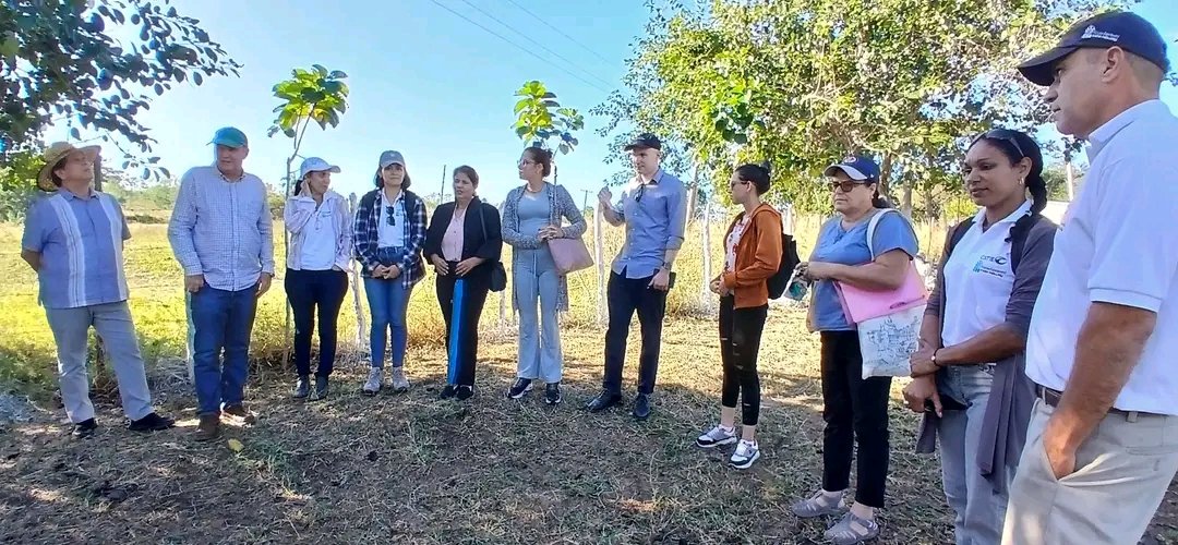 Se inició el recorrido por la finca #Cienpinos del productor Yosiel Jauregui León. 

Intercambios sobre la gestión e impacto del proyecto. 

Donativo de medicamentos antiparasitarios para ganado caprino. 

Degustación de queso de leche de cabra. #Asdi #CATIE #IndioHatuey