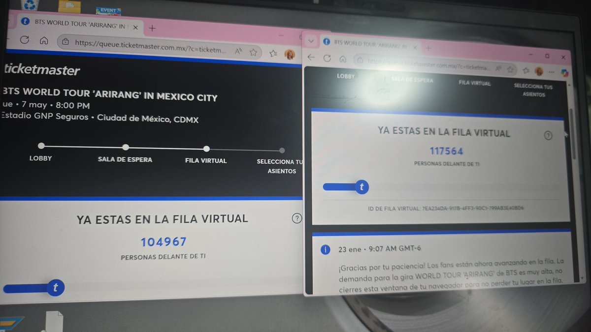 Yo: esos boletos son míos, lo manifiesto, voy a ver a BTS en VIP

La fila virtual: ok mañana💜