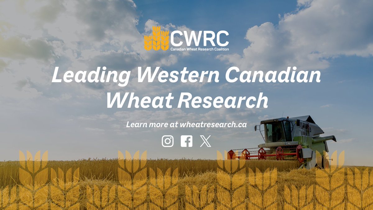 wheat_research's tweet image. NEWS RELEASE: @AAFC_Canada staffing cuts threaten agricultural research capacity and ROI for farmers

Read more: ow.ly/HTF650Y1UAc

#cdnag #westcdnag #wheatresearch