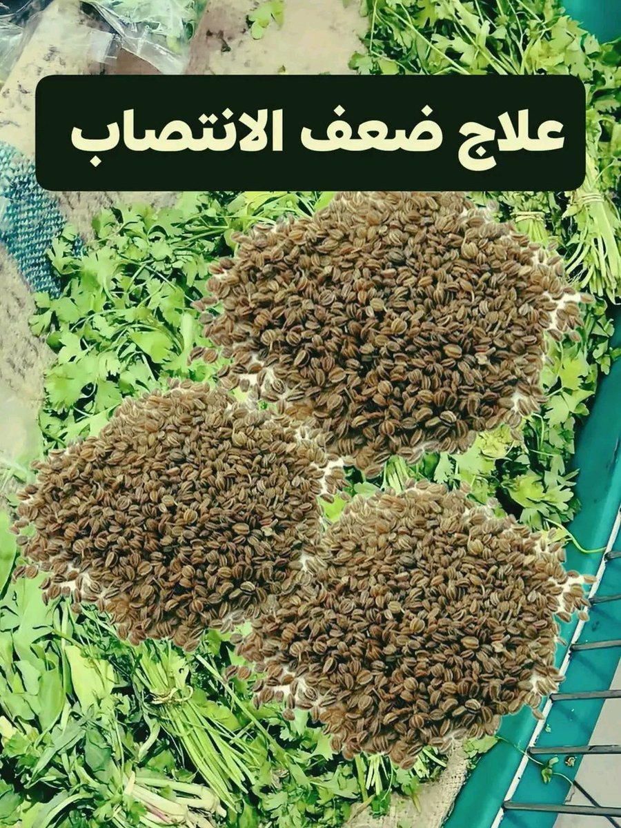 8iff6's tweet image. العسل مع الزنجبيل :تقوية الرغبة الجنـسية – تنشيط ..الدورة .الد.موية – تحسين الانتــصاب
✅️ الحبة السوداء مع العسل
زيادة الخصـوبة – دعم الهرمونات – تحسين الأداء الجنـسي
✅️ القرنفل مع الحليب
..تنشيط الشهوة – تقليل البرود الجـنسي – تحسين الطاقة
✅️ السمسم مع العسل
..تقوية…