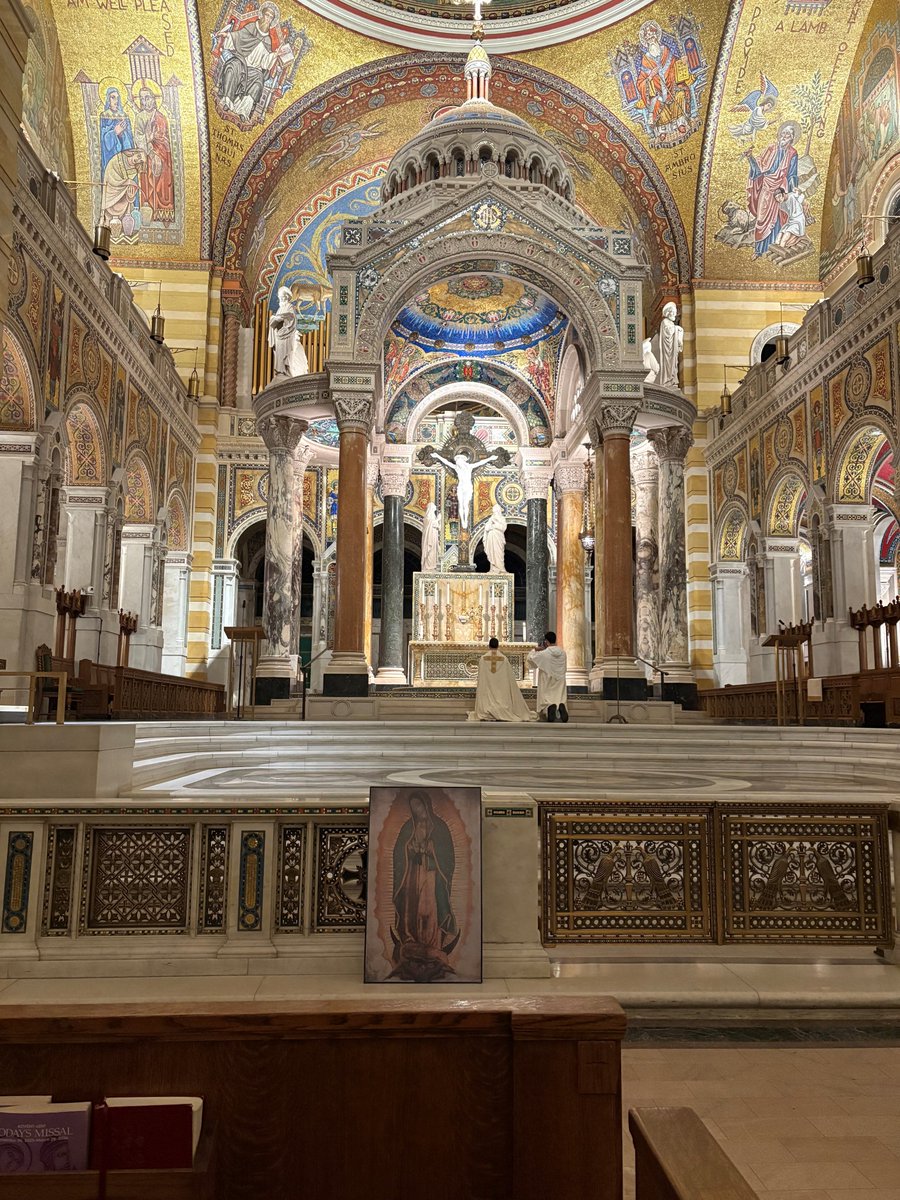 ProLifeSTL's tweet image. Thank you to everyone who joined us in prayer and fellowship at last night's Young Adult Pro-Life Holy Hour! We were inspired by Br.  Benedict's talk on silent heroic love, and grateful to Anima Christi for leading the Rosary with pro-life meditations. 
@archstl