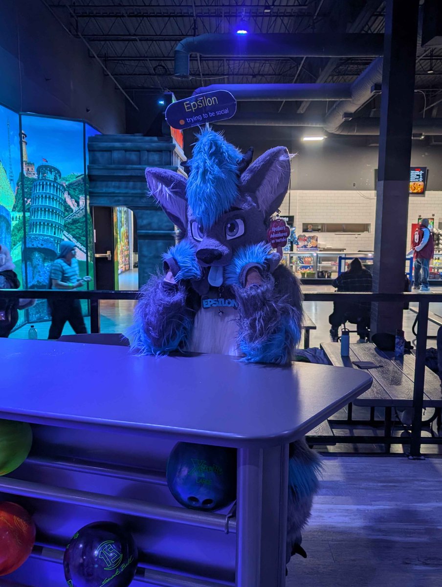 Fountain City Furs tweet media