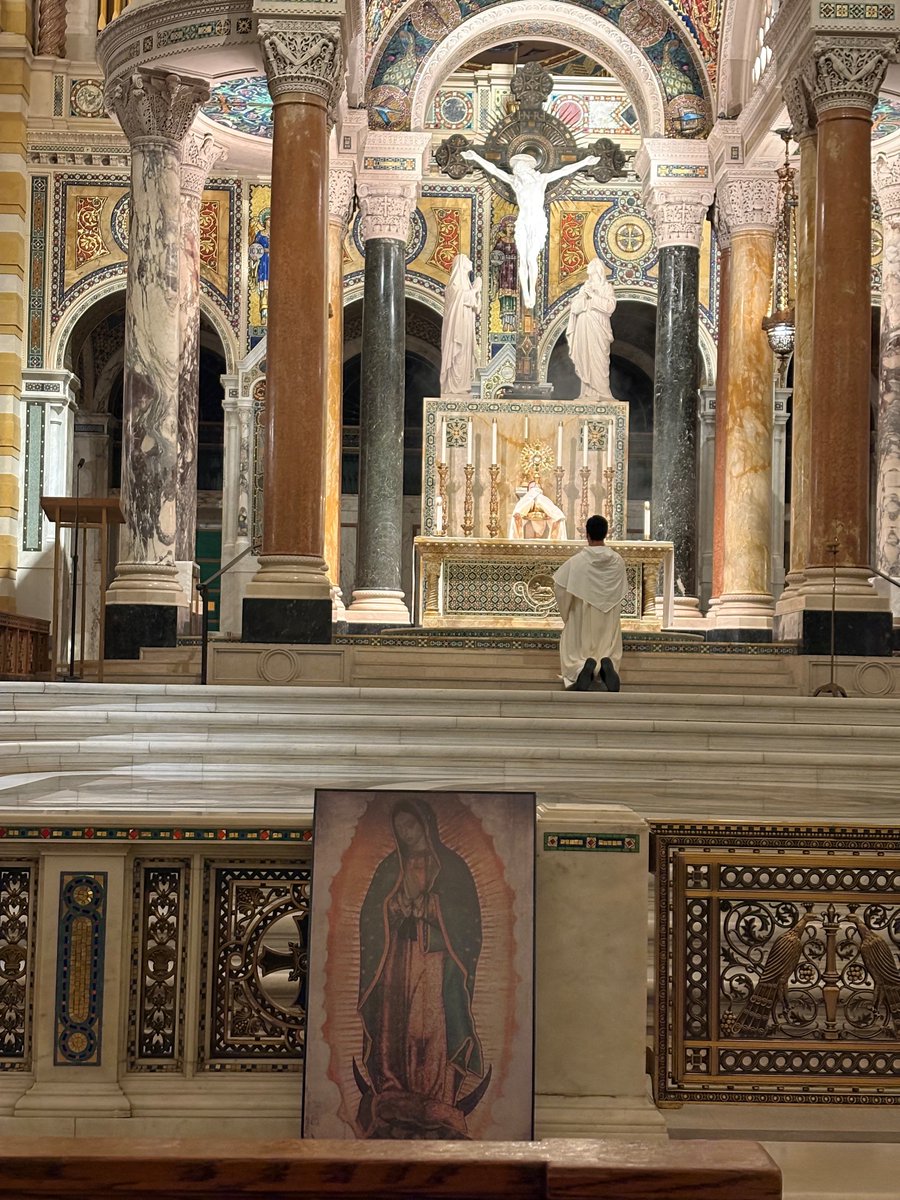 ProLifeSTL's tweet image. Thank you to everyone who joined us in prayer and fellowship at last night's Young Adult Pro-Life Holy Hour! We were inspired by Br.  Benedict's talk on silent heroic love, and grateful to Anima Christi for leading the Rosary with pro-life meditations. 
@archstl